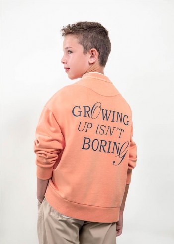 SUDADERA GROWING UP BOSTON...
