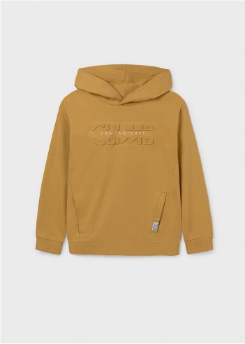 SUDADERA CON CAPUCHA CHICO